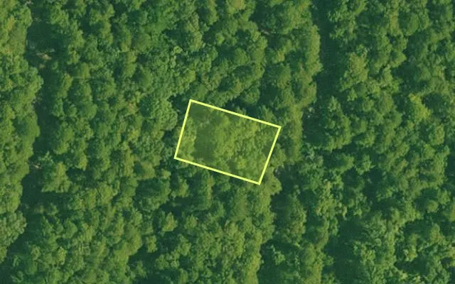 Aerial view of GARLAND County parcel 69603 — Arkansas post-auction with approximate parcel outline