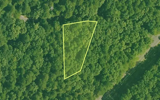 Aerial view of GARLAND County parcel 59219 — Arkansas post-auction with approximate parcel outline