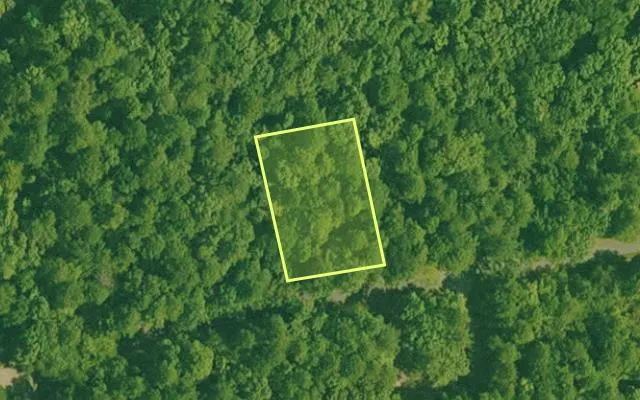 Aerial view of GARLAND County parcel 69351 — Arkansas post-auction with approximate parcel outline