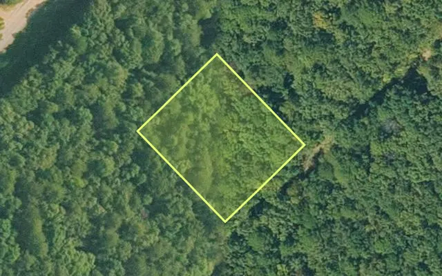 Aerial view of VAN BUREN County parcel 4300-01101-0000 — Arkansas post-auction with approximate parcel outline