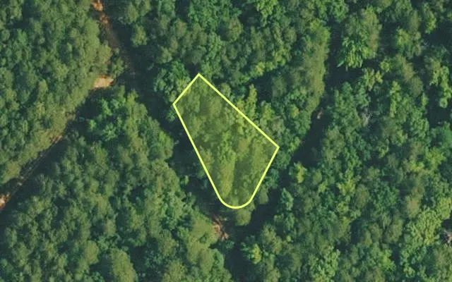 Aerial view of VAN BUREN County parcel 4200-02429-0000 — Arkansas post-auction with approximate parcel outline