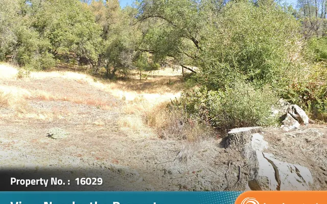 LandCentral listing preview for 2.5 acres in Butte, CA — 16029