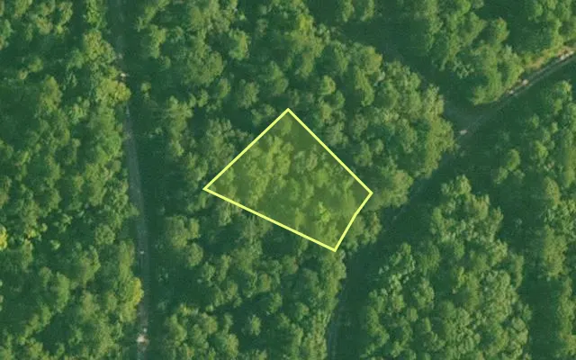 Aerial view of SALINE County parcel 768-00043-000 — Arkansas post-auction with approximate parcel outline