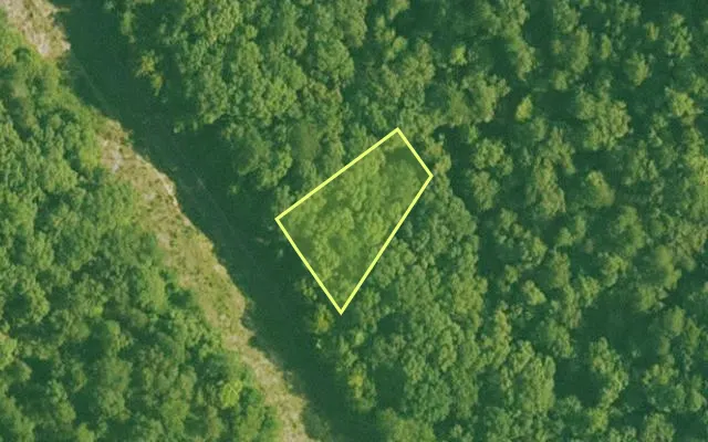 Aerial view of SALINE County parcel 492-00040-000 — Arkansas post-auction with approximate parcel outline