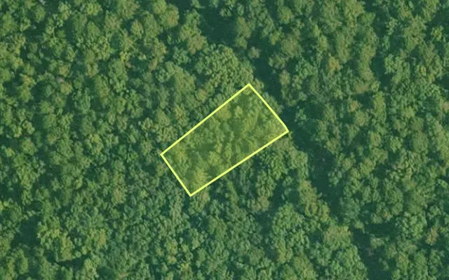 Aerial view of SALINE County parcel 756-00046-000 — Arkansas post-auction with approximate parcel outline