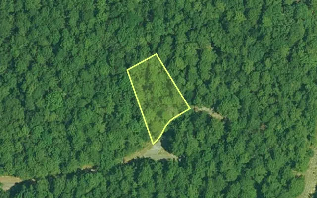 Aerial view of GARLAND County parcel 64355 — Arkansas post-auction with approximate parcel outline