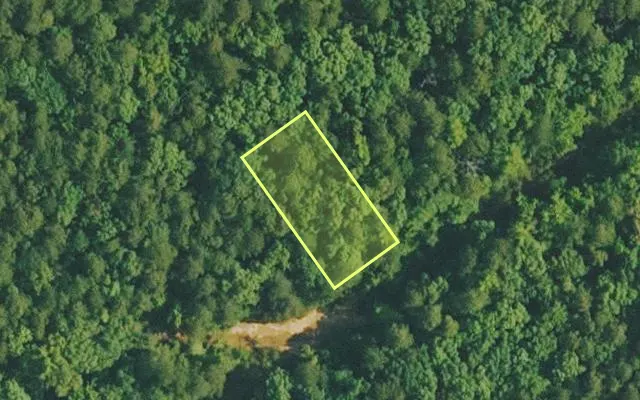Aerial view of VAN BUREN County parcel 4200-02407-0000 — Arkansas post-auction with approximate parcel outline