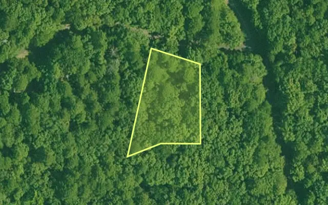 Aerial view of GARLAND County parcel 59396 — Arkansas post-auction with approximate parcel outline