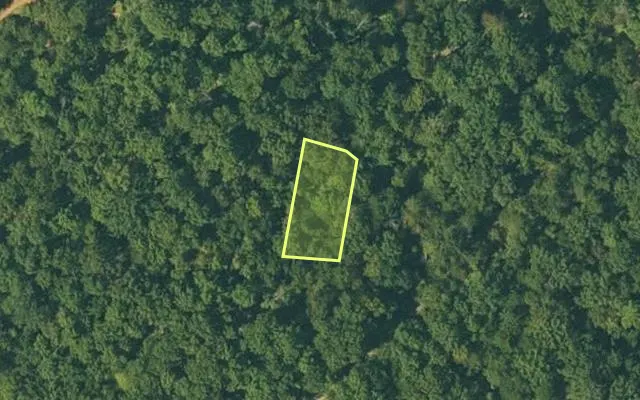 Aerial view of FULTON County parcel 110-10641-000 — Arkansas post-auction with approximate parcel outline