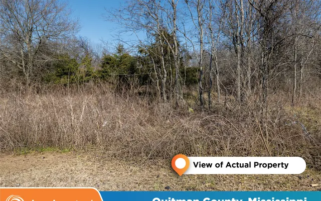 LandCentral listing preview for 0.29 acres in Quitman, MS — 13936