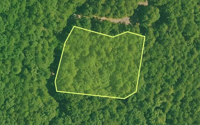 Aerial view of GARLAND County parcel 67430 — Arkansas post-auction with approximate parcel outline