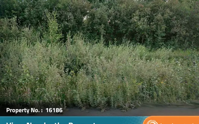 LandCentral listing preview for 5.11 acres in Yukon-Koyukuk, AK — 16186