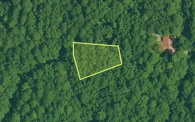 Aerial view of GARLAND County parcel 61295 — Arkansas post-auction with approximate parcel outline