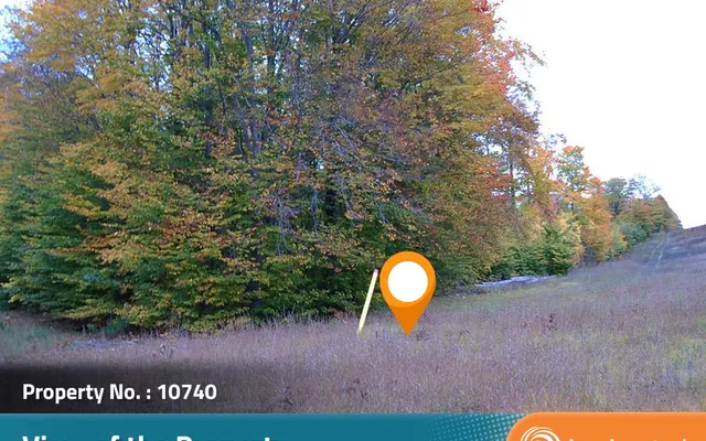 LandCentral listing preview for 3.02 acres in Cheboygan, MI — 10740
