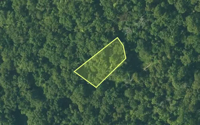 Aerial view of FULTON County parcel 215-14303-000 — Arkansas post-auction with approximate parcel outline