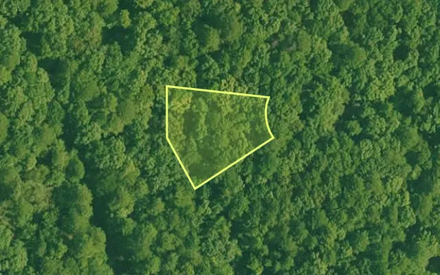 Aerial view of GARLAND County parcel 60018 — Arkansas post-auction with approximate parcel outline