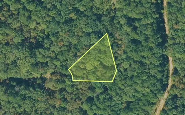 Aerial view of VAN BUREN County parcel 4300-06093-0000 — Arkansas post-auction with approximate parcel outline