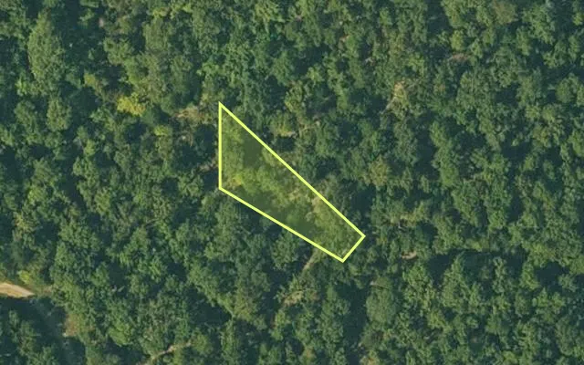 Aerial view of FULTON County parcel 105-10117-000 — Arkansas post-auction with approximate parcel outline
