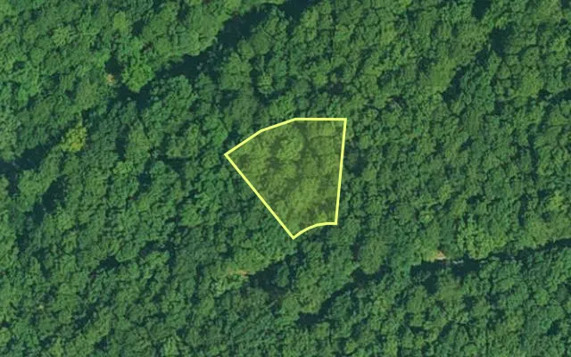 Aerial view of GARLAND County parcel 64285 — Arkansas post-auction with approximate parcel outline