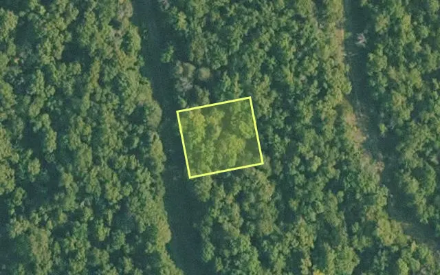 Aerial view of BAXTER County parcel 010-01750-000 — Arkansas post-auction with approximate parcel outline