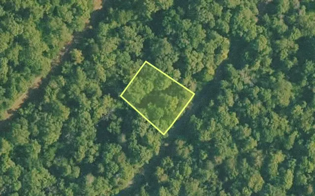 Aerial view of BAXTER County parcel 010-01317-000 — Arkansas post-auction with approximate parcel outline