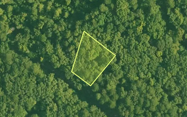 Aerial view of SALINE County parcel 516-00108-000 — Arkansas post-auction with approximate parcel outline