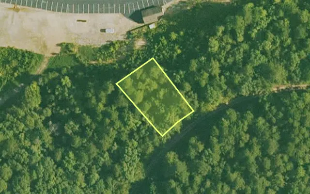 Aerial view of SALINE County parcel 448-00060-000 — Arkansas post-auction with approximate parcel outline