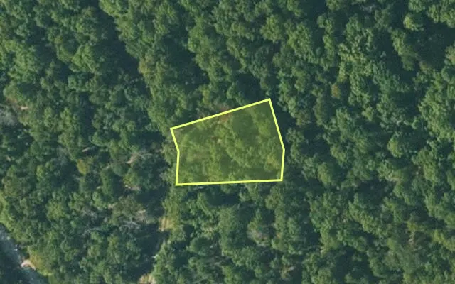 Aerial view of FULTON County parcel 365-20233-000 — Arkansas post-auction with approximate parcel outline