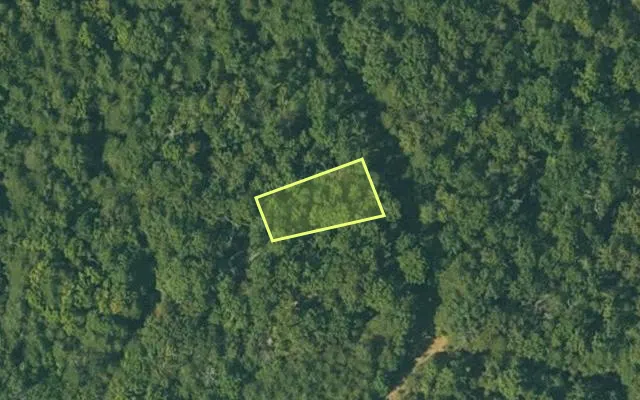 Aerial view of FULTON County parcel 110-10480-000 — Arkansas post-auction with approximate parcel outline