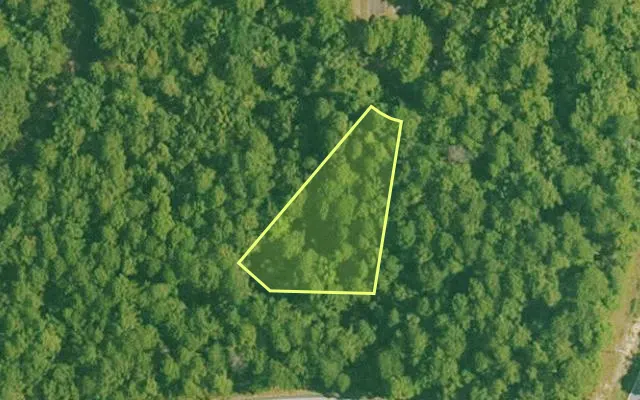 Aerial view of SALINE County parcel 380-00170-000 — Arkansas post-auction with approximate parcel outline