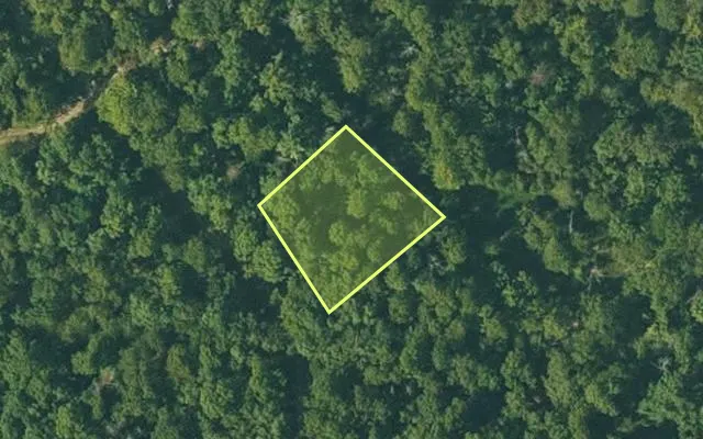 Aerial view of FULTON County parcel 130-11309-000 — Arkansas post-auction with approximate parcel outline