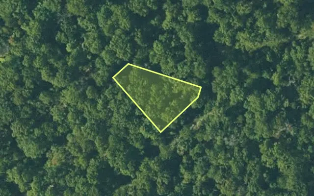 Aerial view of FULTON County parcel 240-15291-000 — Arkansas post-auction with approximate parcel outline