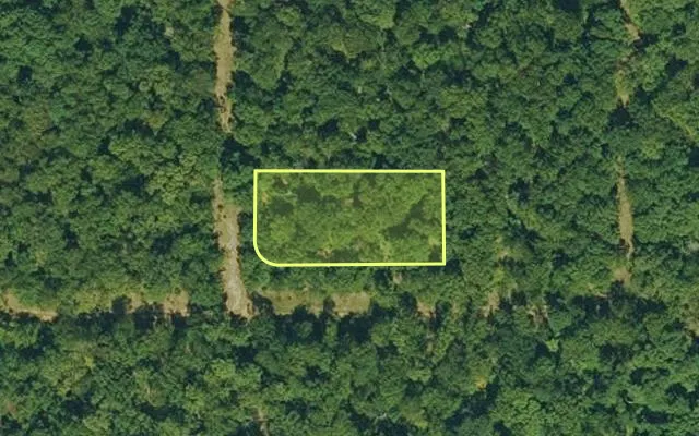 Aerial view of IZARD County parcel 800-10047-000 — Arkansas post-auction with approximate parcel outline