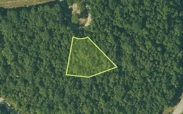 Aerial view of FULTON County parcel 315-18036-000 — Arkansas post-auction with approximate parcel outline