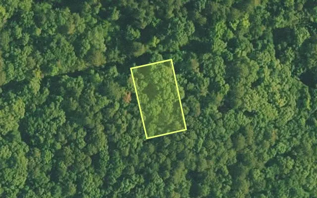 Aerial view of VAN BUREN County parcel 4400-16034-0000 — Arkansas post-auction with approximate parcel outline