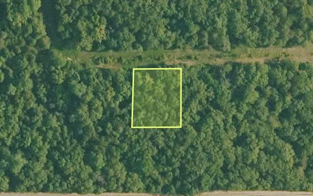 Aerial view of BAXTER County parcel 010-02465-256 — Arkansas post-auction with approximate parcel outline