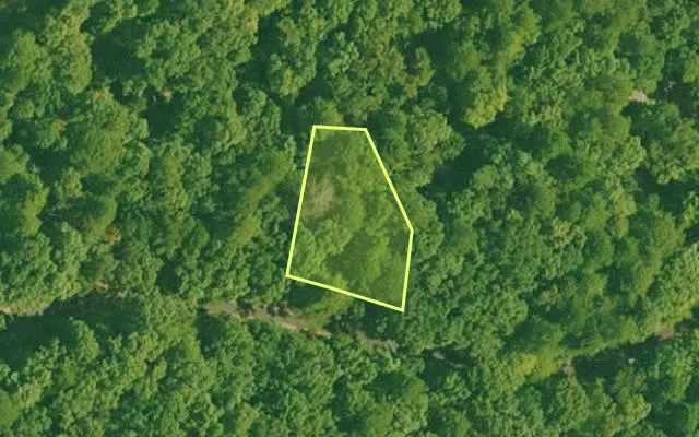 Aerial view of SALINE County parcel 640-00044-000 — Arkansas post-auction with approximate parcel outline