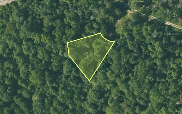 Aerial view of FULTON County parcel 365-20079-000 — Arkansas post-auction with approximate parcel outline