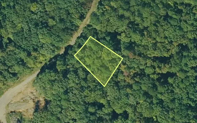 Aerial view of VAN BUREN County parcel 4550-02084-0000 — Arkansas post-auction with approximate parcel outline