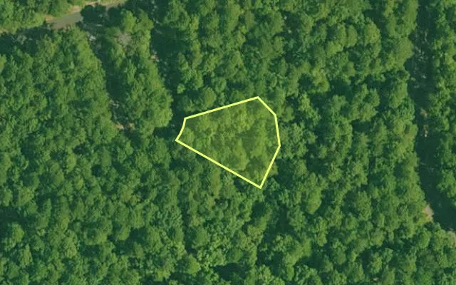 Aerial view of GARLAND County parcel 67008 — Arkansas post-auction with approximate parcel outline