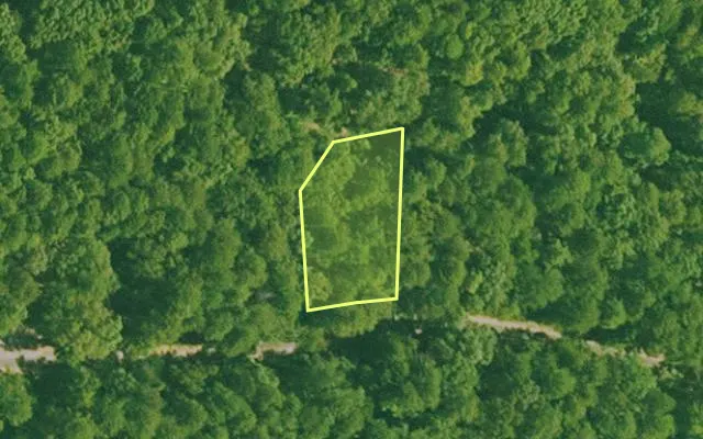 Aerial view of SALINE County parcel 440-00081-000 — Arkansas post-auction with approximate parcel outline