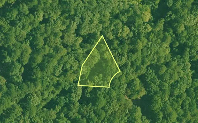 Aerial view of GARLAND County parcel 58920 — Arkansas post-auction with approximate parcel outline