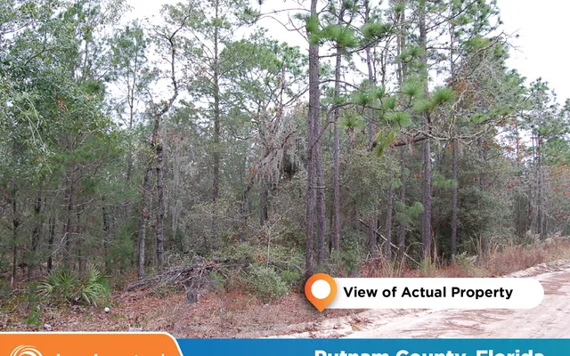 LandCentral listing preview for 0.34 acres in Putnam, FL — 8794