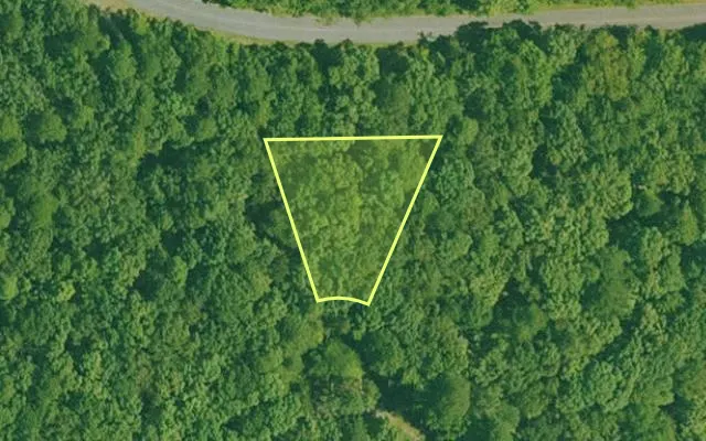 Aerial view of GARLAND County parcel 59354 — Arkansas post-auction with approximate parcel outline