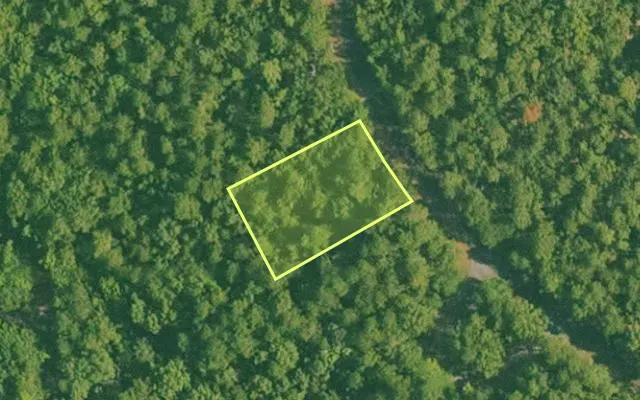 Aerial view of SALINE County parcel 380-00203-000 — Arkansas post-auction with approximate parcel outline