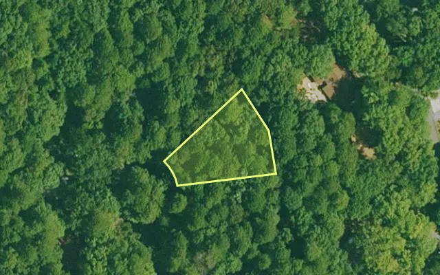 Aerial view of GARLAND County parcel 59580 — Arkansas post-auction with approximate parcel outline