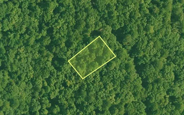 Aerial view of GARLAND County parcel 59920 — Arkansas post-auction with approximate parcel outline