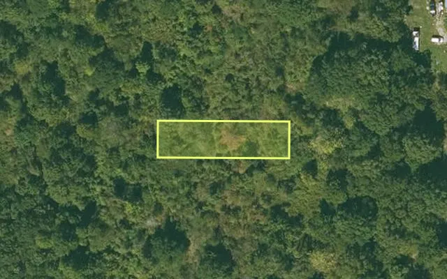 Aerial view of CHICOT County parcel 040-00957-000 — Arkansas post-auction with approximate parcel outline