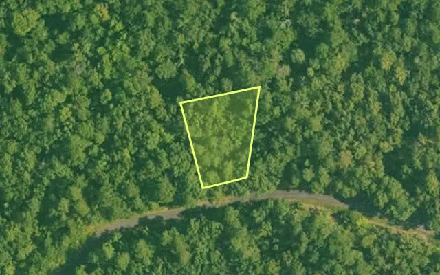 Aerial view of SALINE County parcel 728-00059-000 — Arkansas post-auction with approximate parcel outline