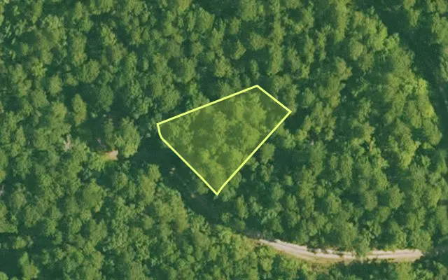 Aerial view of SALINE County parcel 420-00020-000 — Arkansas post-auction with approximate parcel outline
